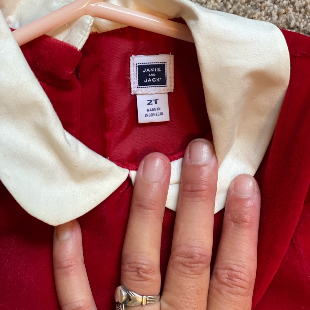 Janie and Jack velvet dress Sz 2T